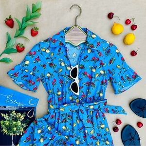 Donna Morgan ❉ Zenith Fruit Print Tie Waist Shirt Dress Bluebell Poplin Cotton 0